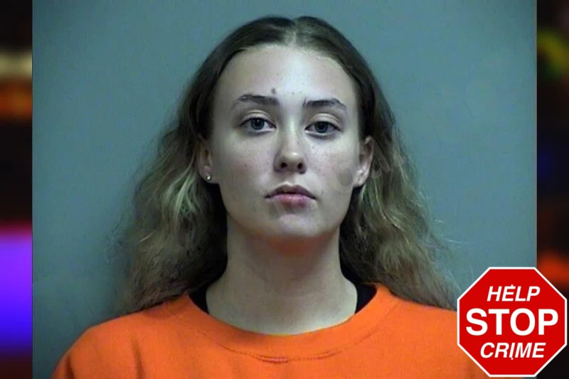 Brooklyn Grames mugshot – Effingham County , Georgia Brooklyn Grames mugshot