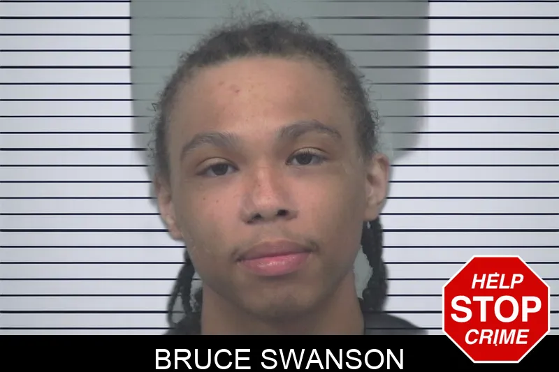 Bruce Swanson Mugshots