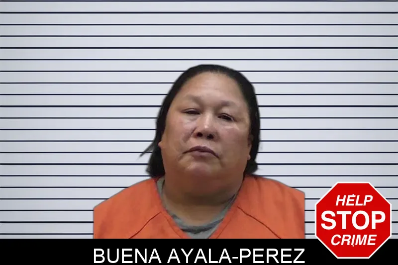 Buena Ayala-Perez Mugshots
