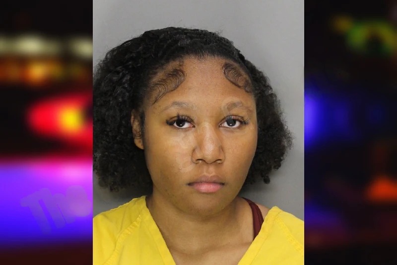 Caitlin McKenzie Mugshots