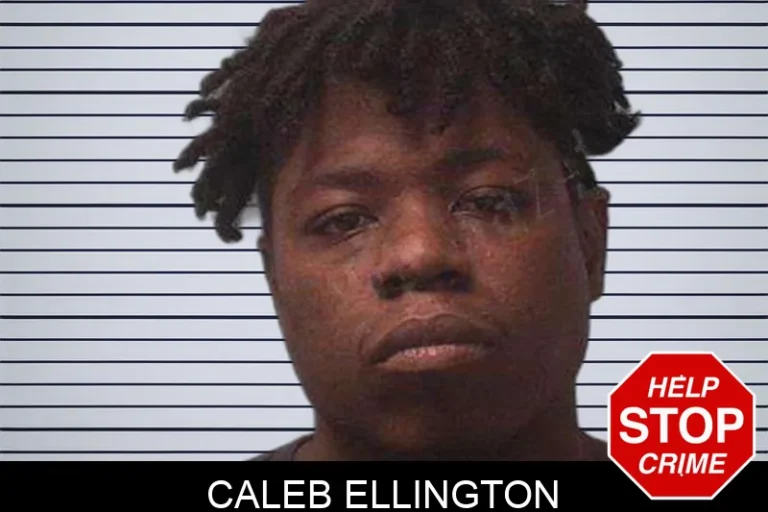 Caleb Ellington mugshot – Franklin County , Georgia Caleb Ellington