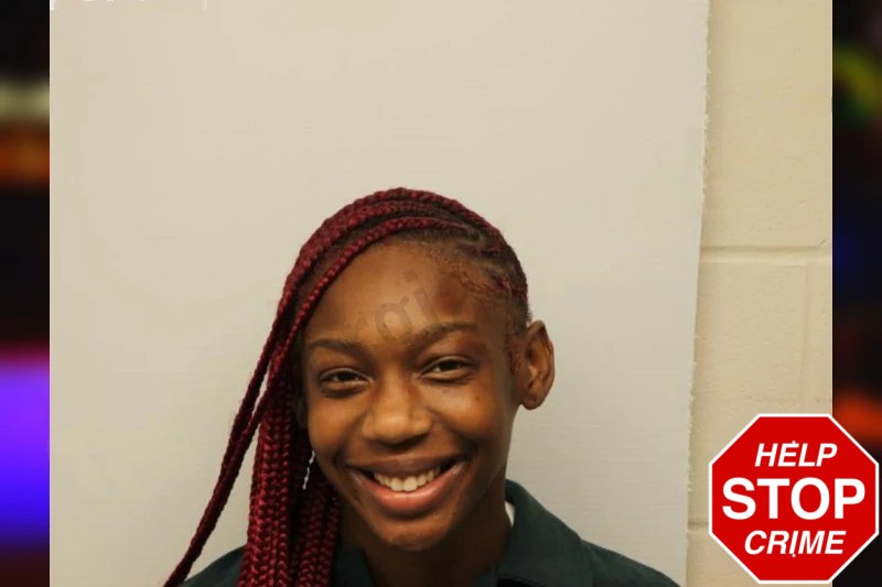 Camarielle Wright mugshot – Chatham County , Georgia Camarielle Wright mugshot