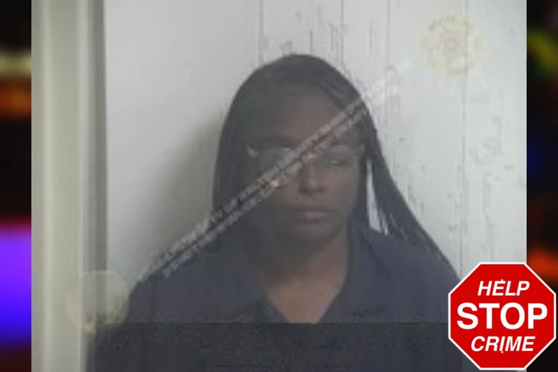 Camealia Reynolds Mugshots