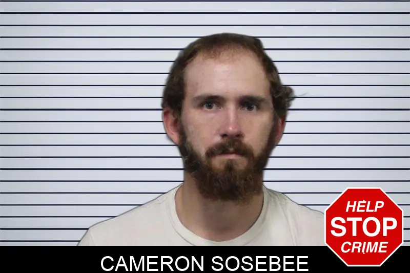 Cameron Sosebee Mugshots