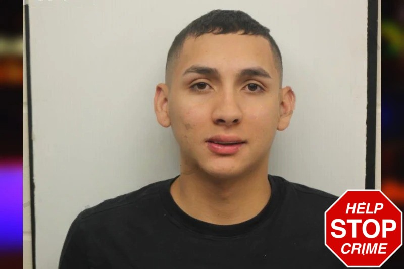 Camilo Vaigas Mugshots