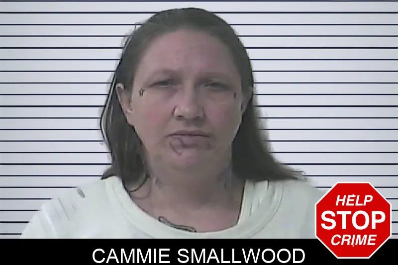 Cammie Smallwood mugshot