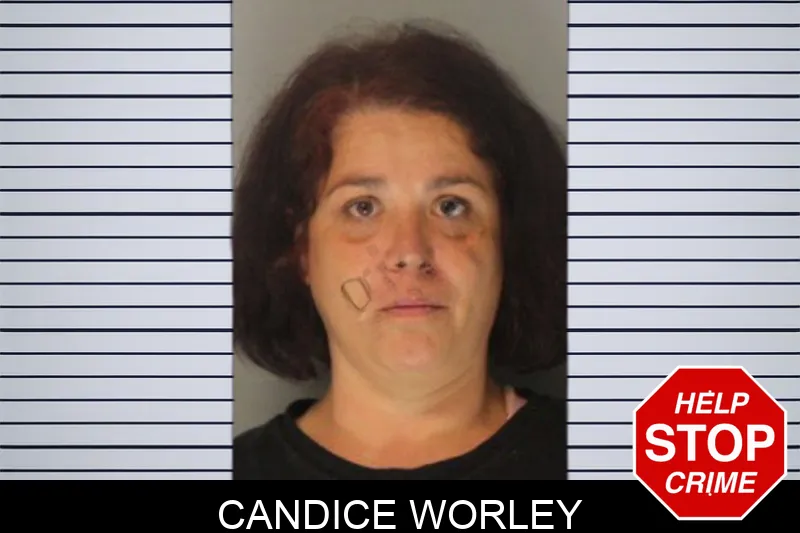 Candice Worley Mugshots