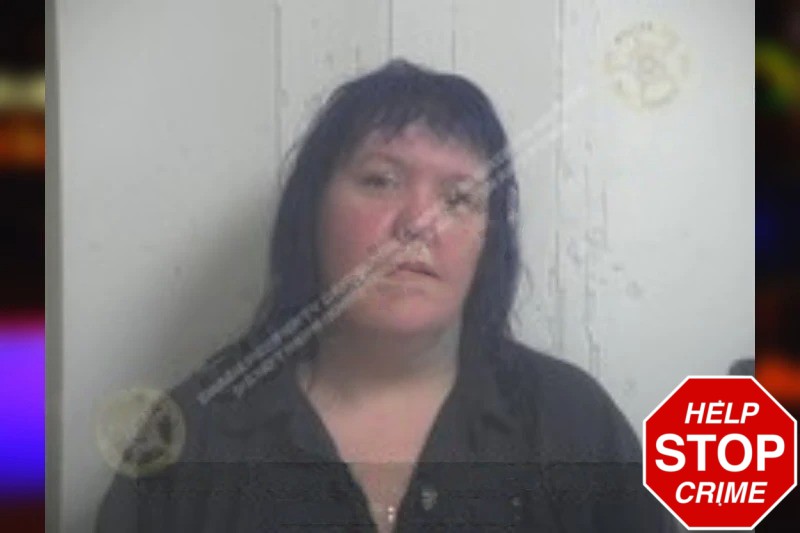 Cara Vanwart Mugshots