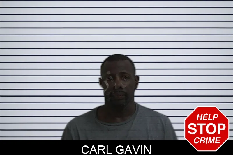 Carl Gavin Mugshots