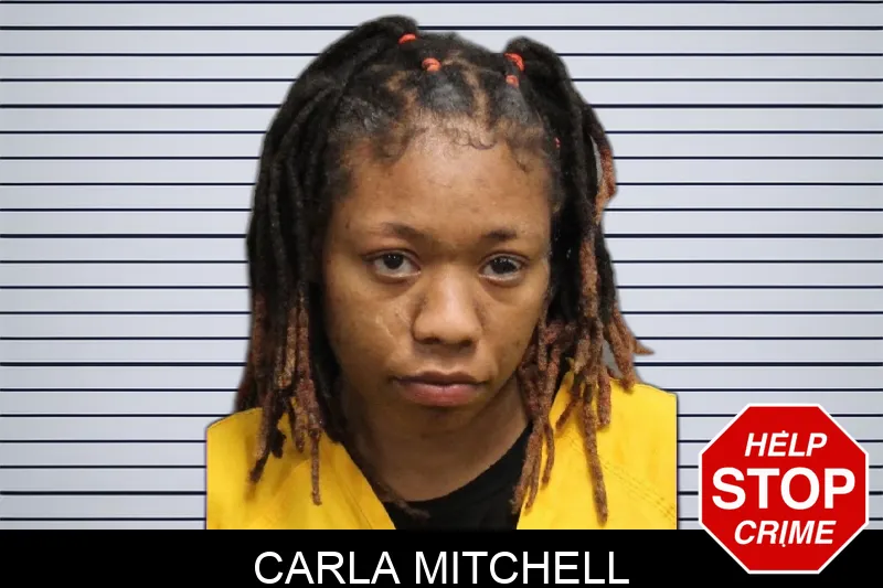 Carla Mitchell mugshot