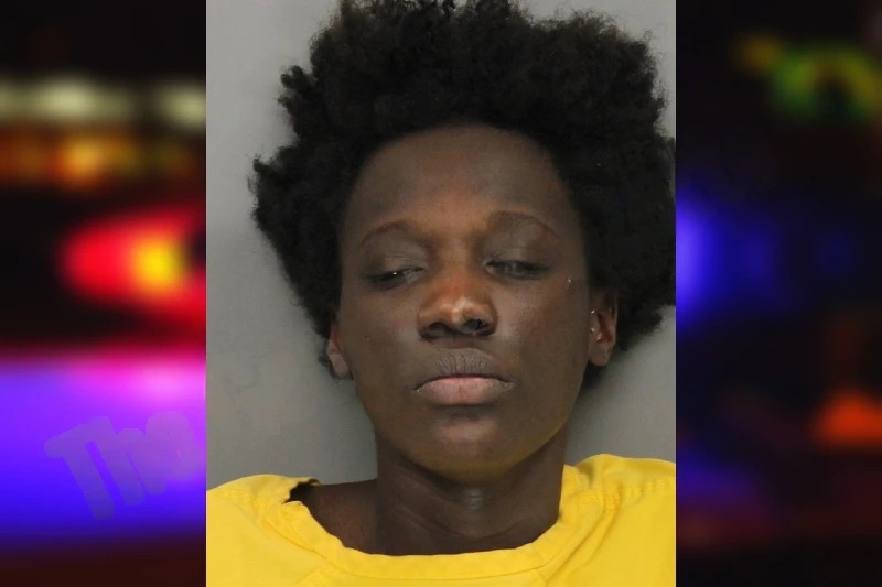 Carleece Brown mugshot