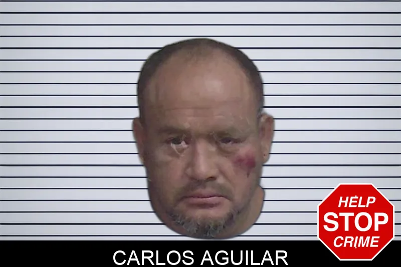 Carlos Aguilar mugshot – Wayne County , Georgia Carlos Aguilar mugshot