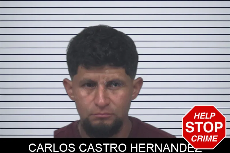 Carlos Castro Hernandez Mugshots
