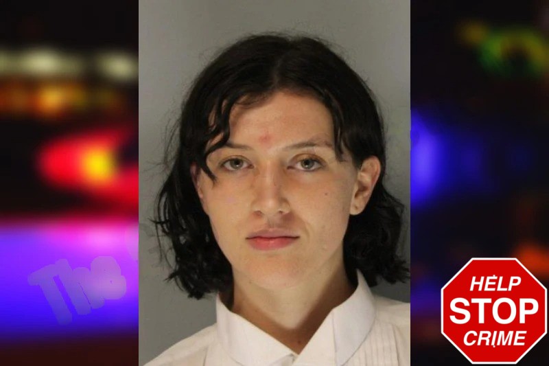 Carly Redmond Mugshots