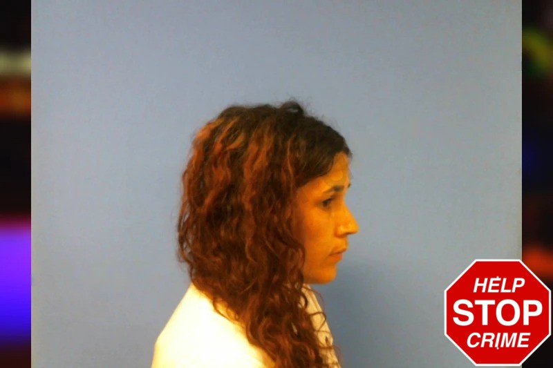 Carly Shakour Mugshots