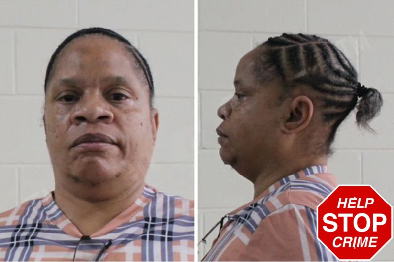 Carol Roberts mugshot