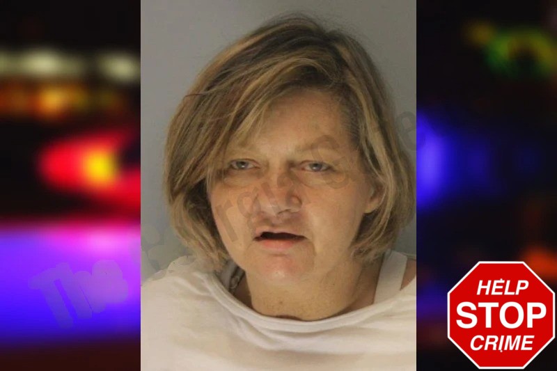Carol Snyder Mugshots