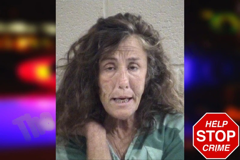 Carol Williams mugshot