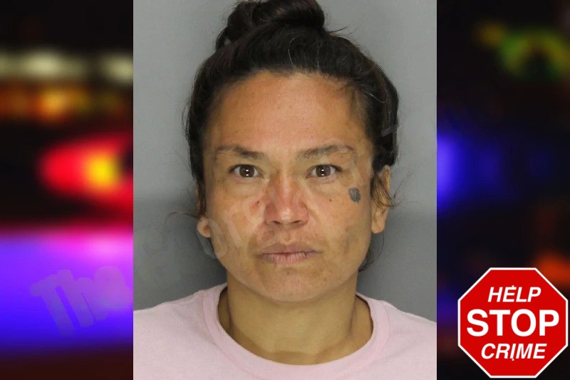 Caroline Brachelli mugshot