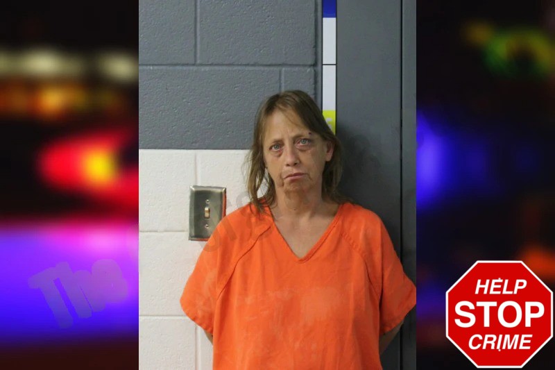 Carolyn Chambers Mugshots