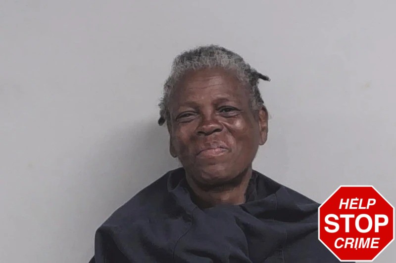 Carolyn Hudson Mugshots