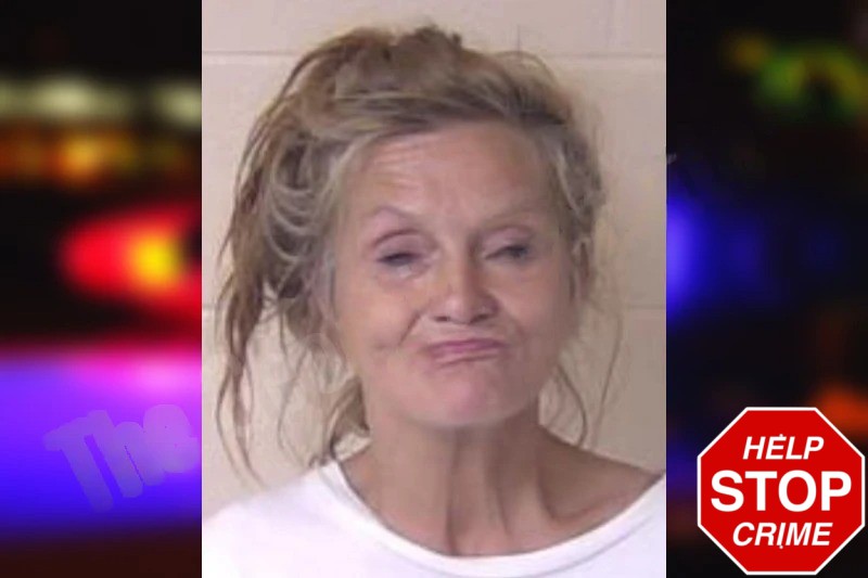 Carolyn Lanham Mugshots