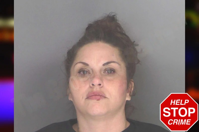 Carolyn Stamey mugshot