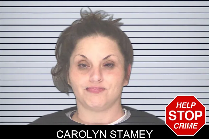 Carolyn Stamey mugshot