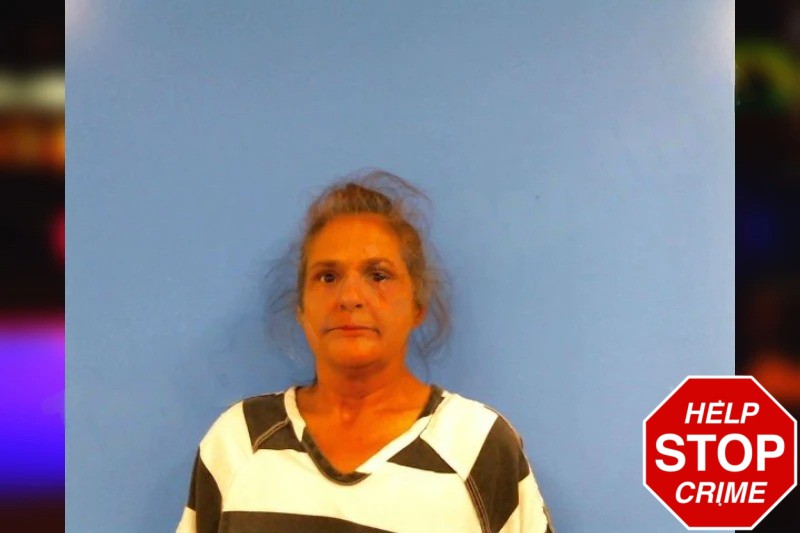 Carrie Hartley Mugshots