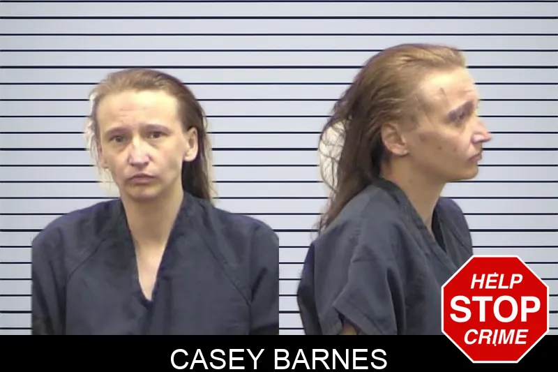 Casey Barnes Mugshots