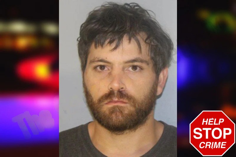 Cassidy Turner mugshot – Hall County , Georgia Cassidy Turner mugshot