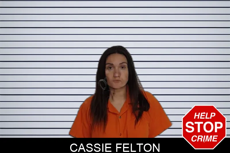 Cassie Felton Mugshots