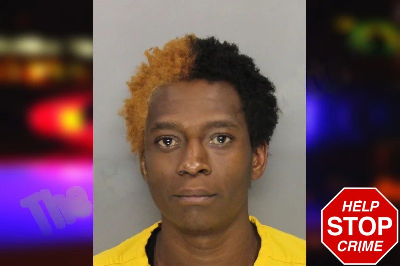 Cassini Haynes Mugshots