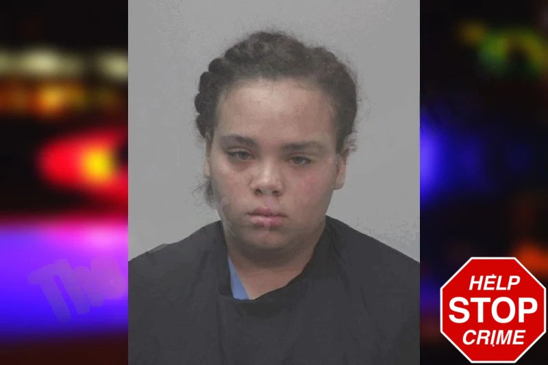 Catelynn Johnson Mugshots