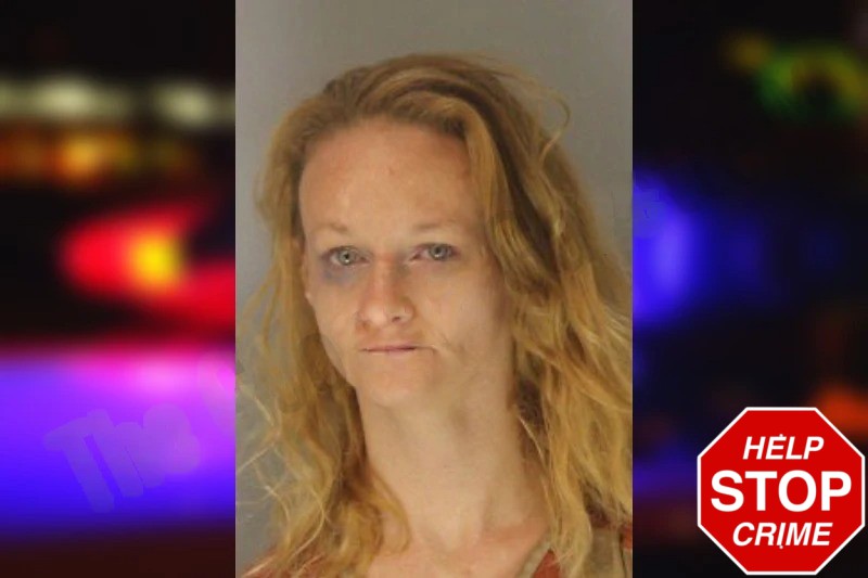 Cathrine Perkins Mugshots