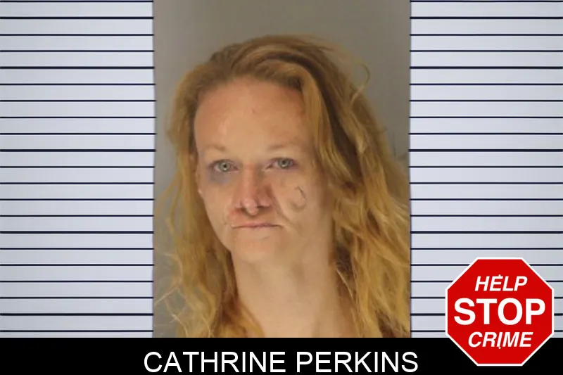 Cathrine Perkins Mugshots