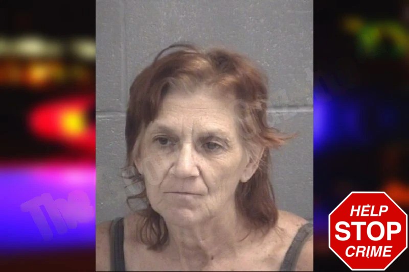 Cathy Pierce Mugshots