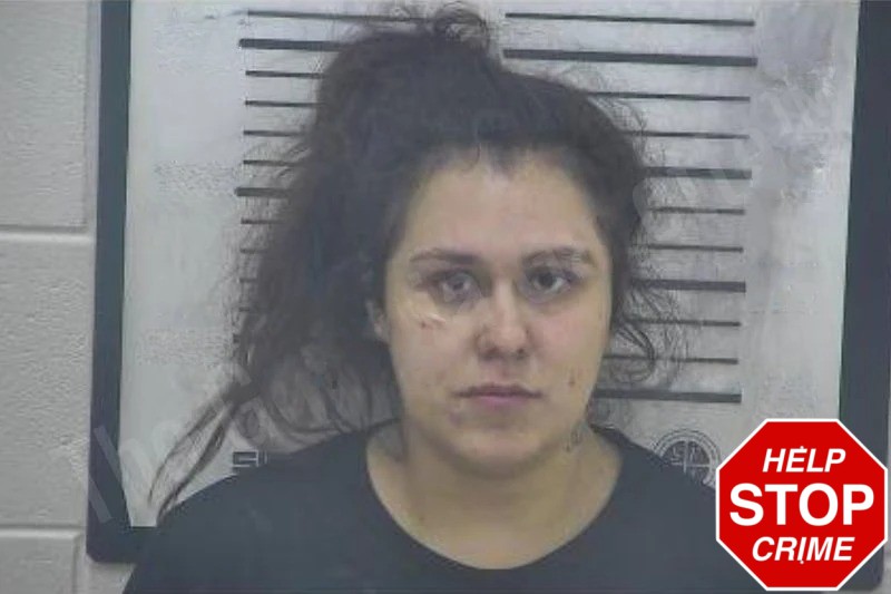 Catie Cruz Mugshots