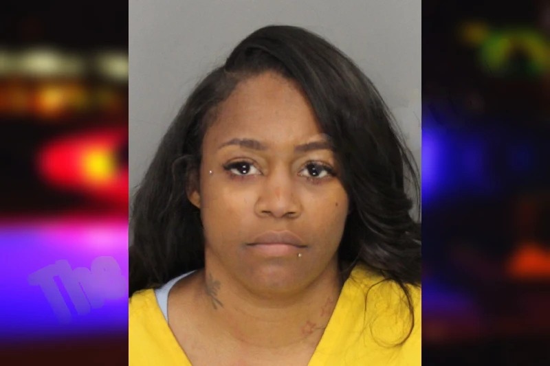 Catrisia Lomnick mugshot – Cobb County , Georgia Catrisia Lomnick mugshot