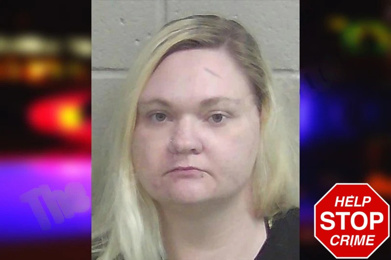 Cayla Johnston Mugshots