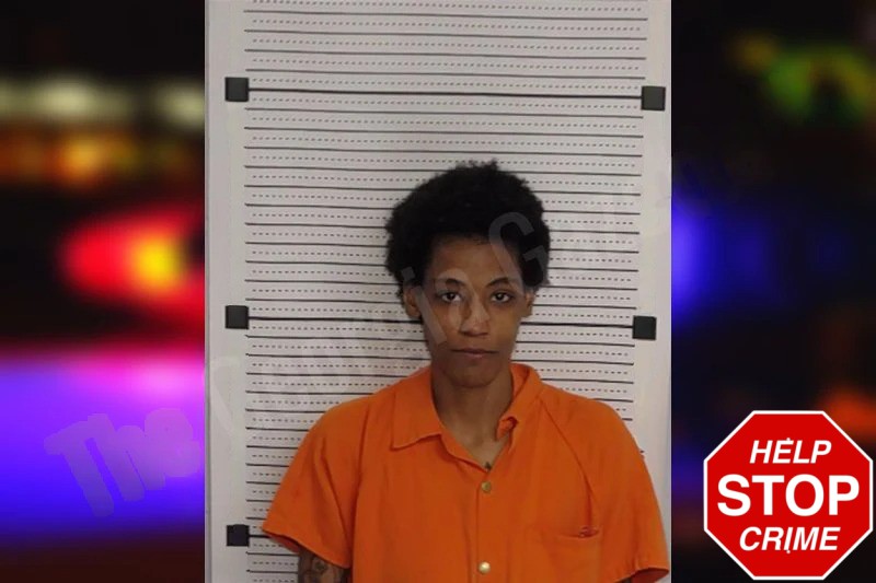 Celine Jordan Mugshots