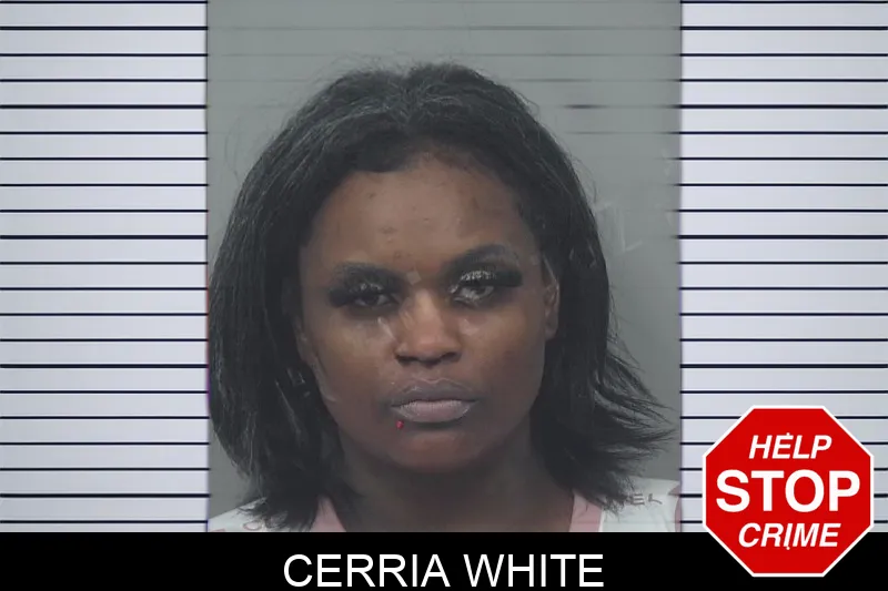 Cerria White Mugshots