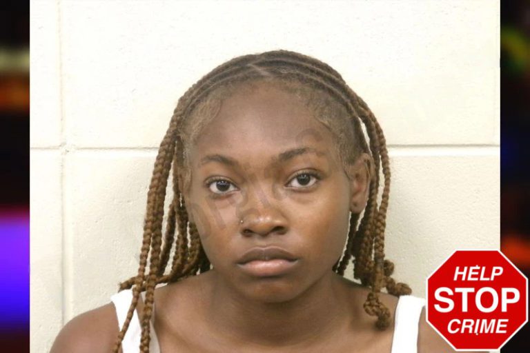 Chamaia Lindsey mugshot – Bulloch County , Georgia Chamaia Lindsey