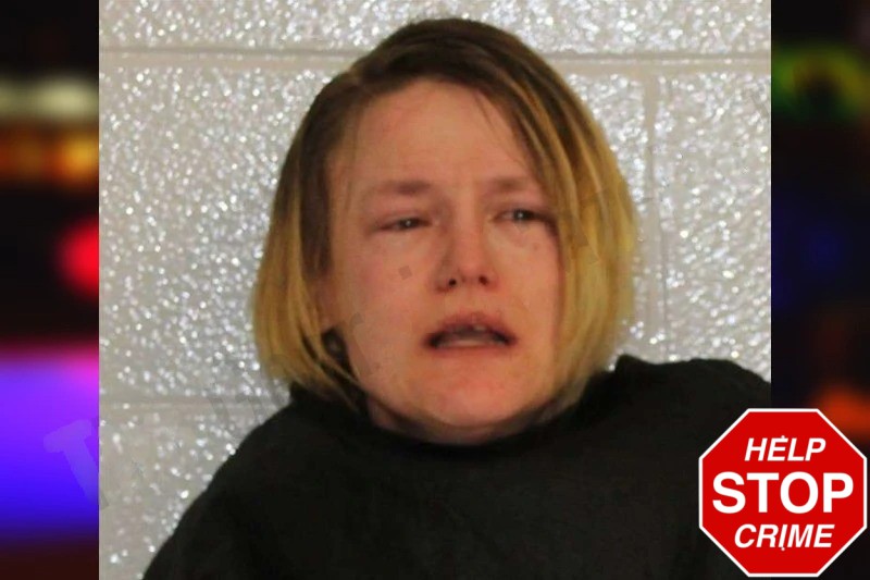 Chanda Cattadoris Mugshots