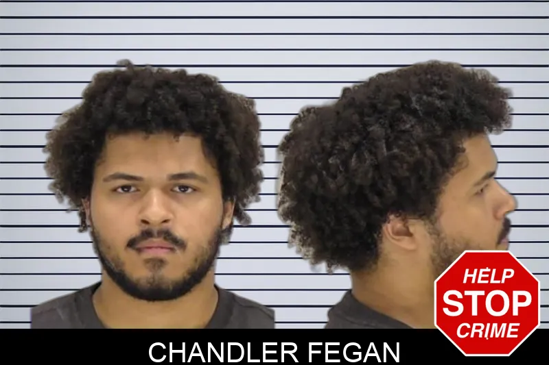 Chandler Fegan Mugshots