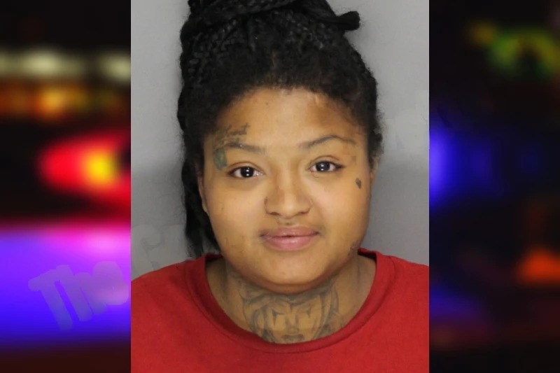 Chaneece Wright mugshot – Cobb County , Georgia Chaneece Wright mugshot