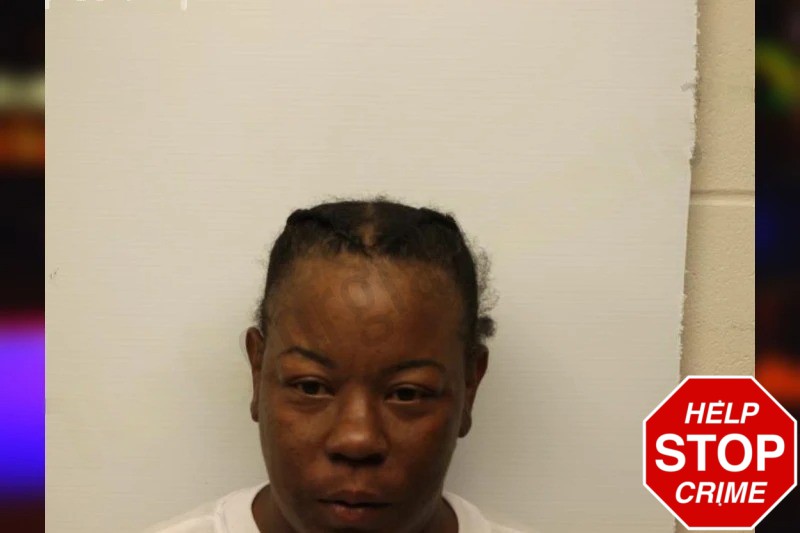 Charise Jenkins Mugshots