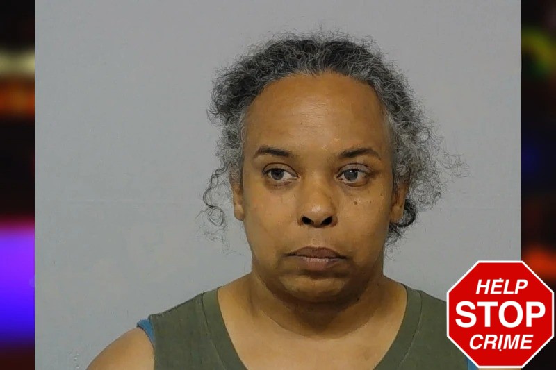 Charlotte Lewis Mugshots