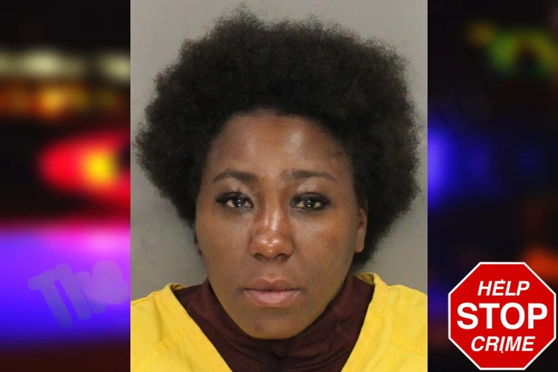Chasmine Swanigan mugshot – Cobb County , Georgia Chasmine Swanigan mugshot