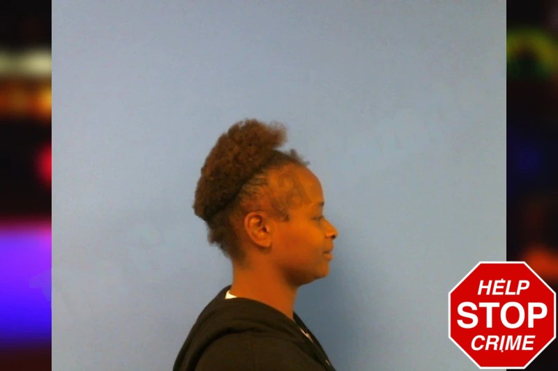 Che’April Harrison Mugshots